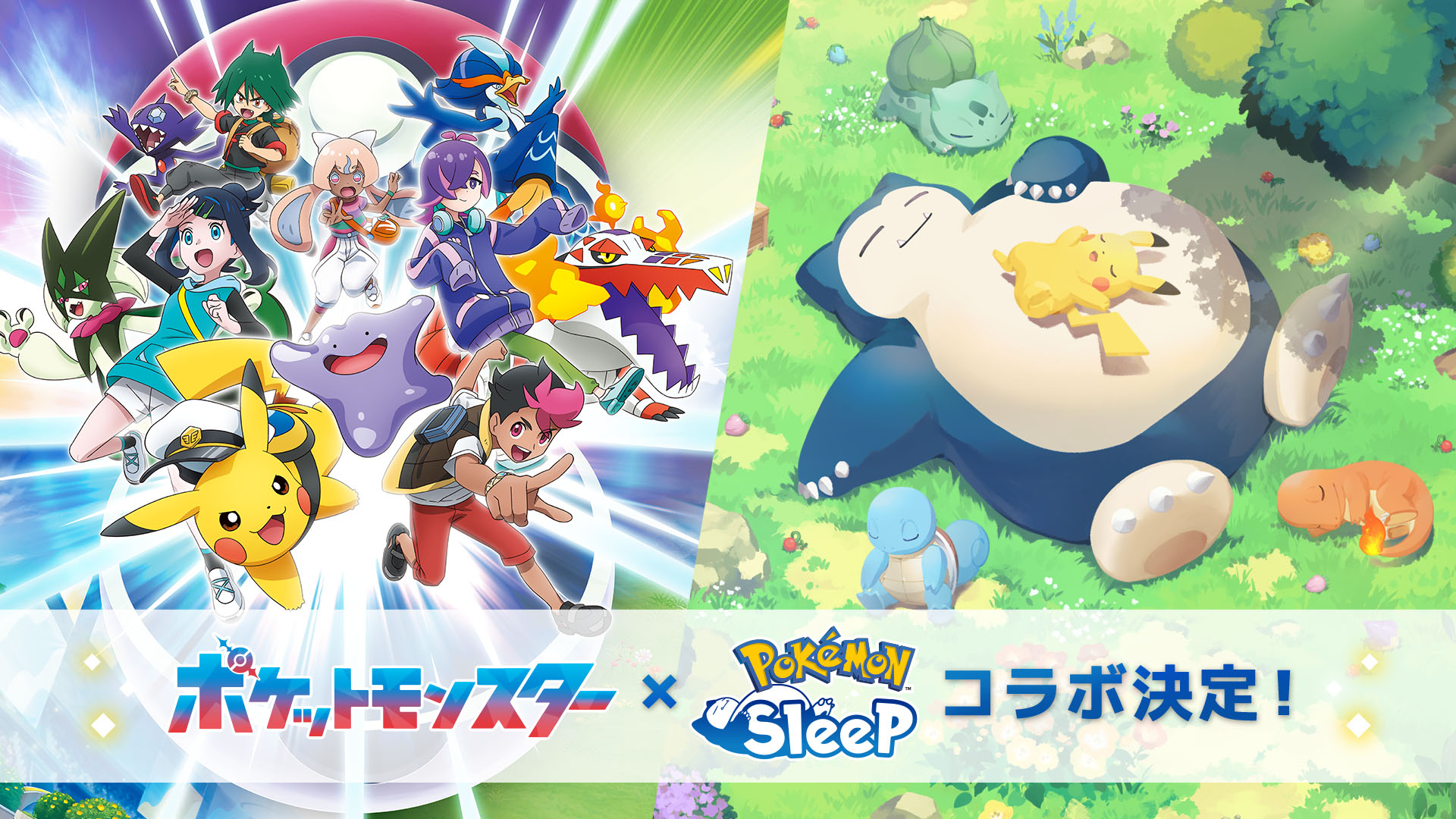アニポケコラボ