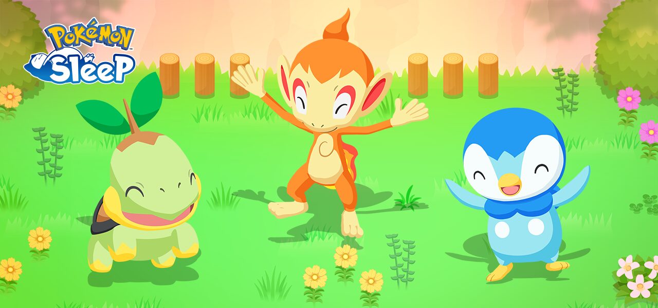 ナエトルヒコザルポッチャマ実装
